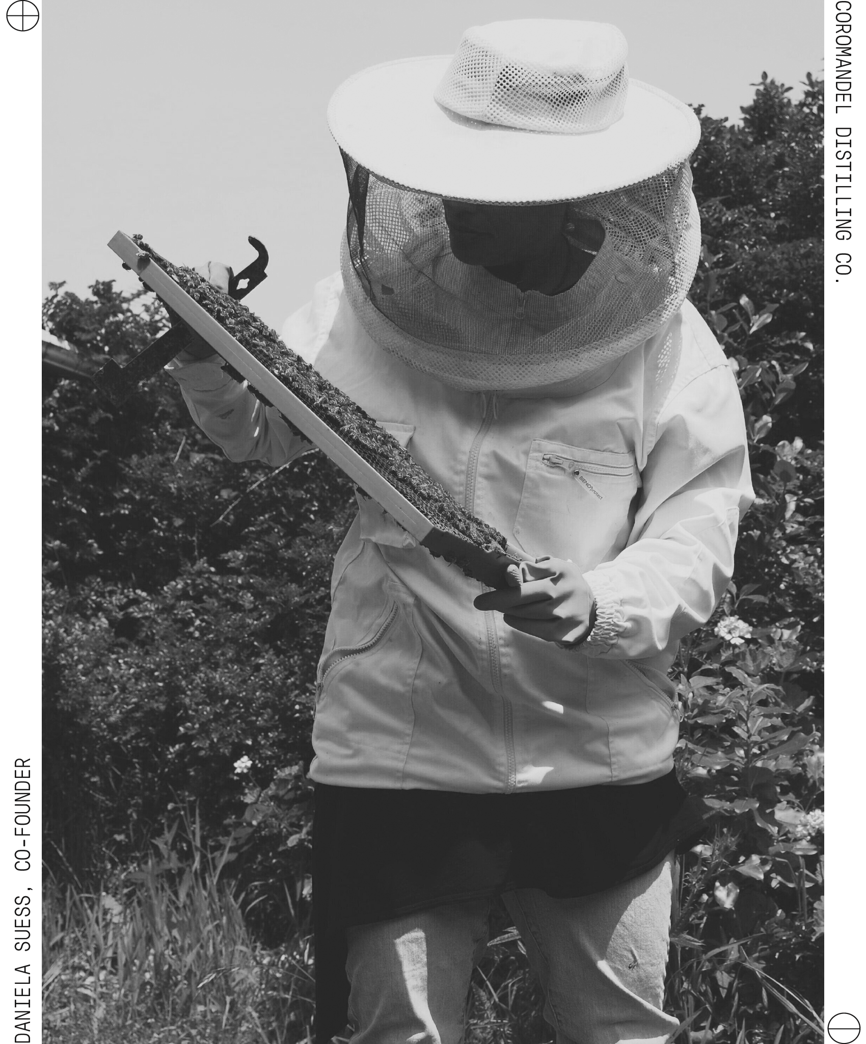 Daniela Suess, co-founder of Awildian Gin, harvesting Mānuka honey for our Coromandel Mānuka gin